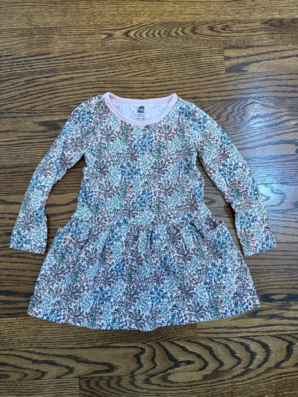 Tea Collection Girls Floral Long-Sleeve Dress in Pink, Green and Blue